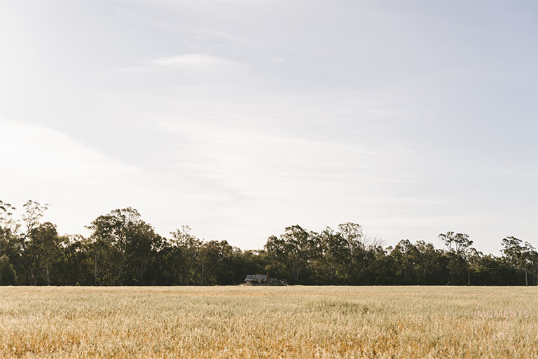 Echuca Wedding